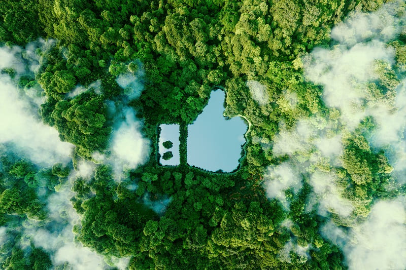 Schneider Electric