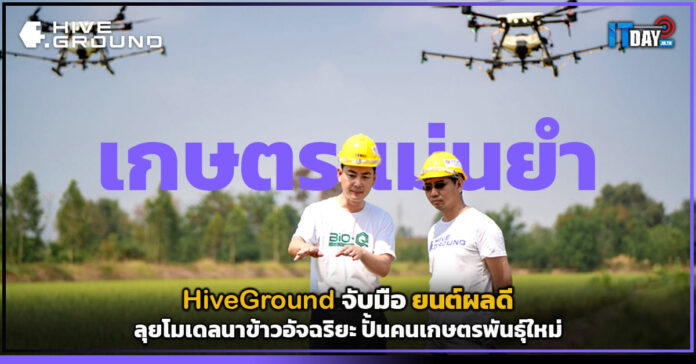 HiveGround
