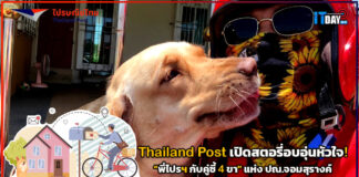 Thailand Post เปิดสตอรี่อบอุ่นหัวใจ! “พี่ไปรฯ กับคู่ซี้ 4 ขา” แห่ง ปณ.จอมสุรางค์ Thailand Post
