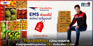 Thailand Post เปิดมาตรการช่วยผู้ปลูกผลไม้หนุนส่งด่วน EMS เริ่มต้นเพียง 60 บาท Thailand Post