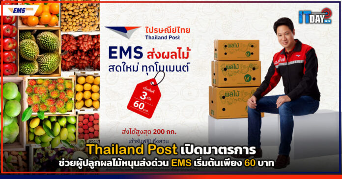 Cover Thailand Post เปิดมาตรการช่วยผู้ปลูกผลไม้หนุนส่งด่วน EMS เริ่มต้นเพียง 60 บาท Thailand Post