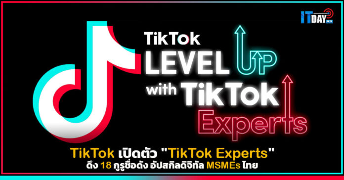 TikTok Experts