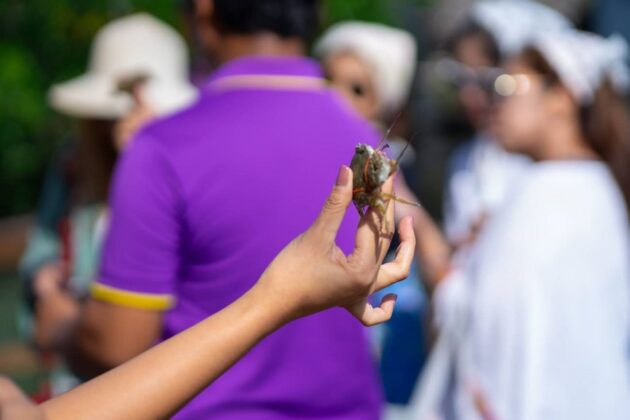 Pacharakrit Property