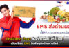 Thailand Post ส่งด่วนผลไม้ทั่วไทย! เปิดบริการ EMS ถึงบ้านผ่านไลน์ Thailand Post
