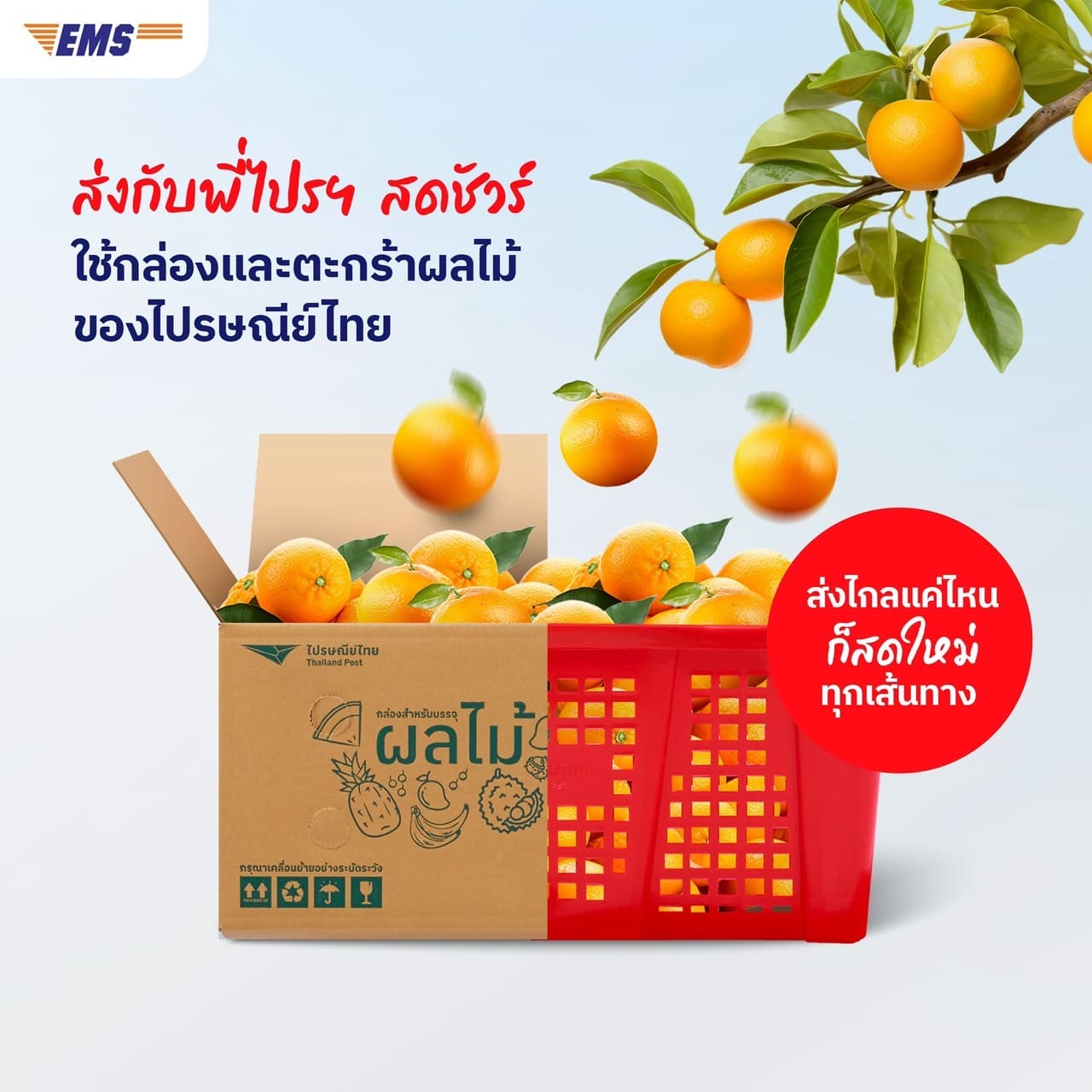 Thailand Post