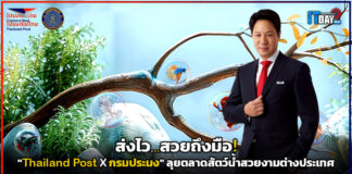 ส่งไว สวยถึงมือ! Thailand Post X กรมประมง ลุยตลาดสัตว์น้ำสวยงามต่างประเทศ Thailand Post