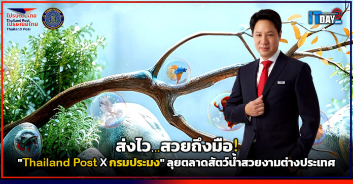 Cover ส่งไว สวยถึงมือ! Thailand Post X กรมประมง ลุยตลาดสัตว์น้ำสวยงามต่างประเทศ Thailand Post