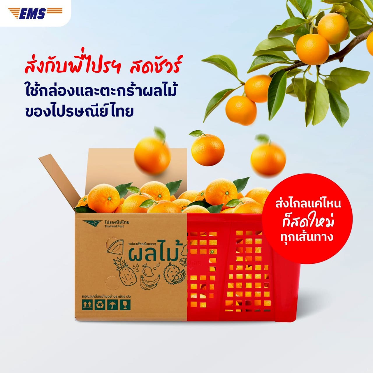 Thailand Post