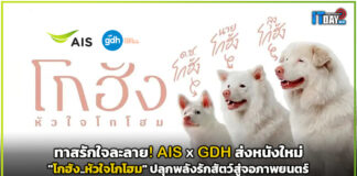 ทาสรักใจละลาย! AIS x GDH ส่งหนังใหม่ “โกฮัง..หัวใจโกโฮม” ปลุกพลังรักสัตว์สู่จอภาพยนตร์ AIS