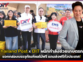 Thailand Post x DIT ผนึกกำลังช่วยเกษตรกร แจกกล่องบรรจุภัณฑ์ผลไม้ฟรี แถมส่งฟรีทั่วประเทศ! Thailand Post
