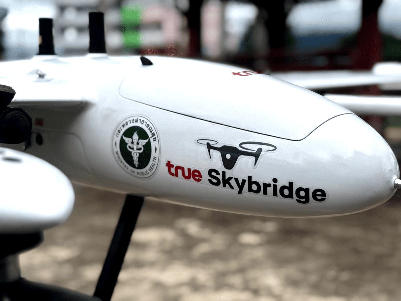 True SkyBridge