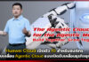 Huawei Cloud เปิดตัว AI สำหรับองค์กร มุ่งขับเคลื่อน Agentic Cloud แบบเปิด Huawei Cloud