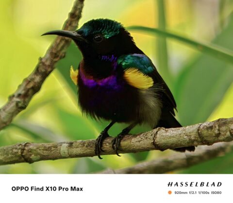 OPPO Find X10 Series